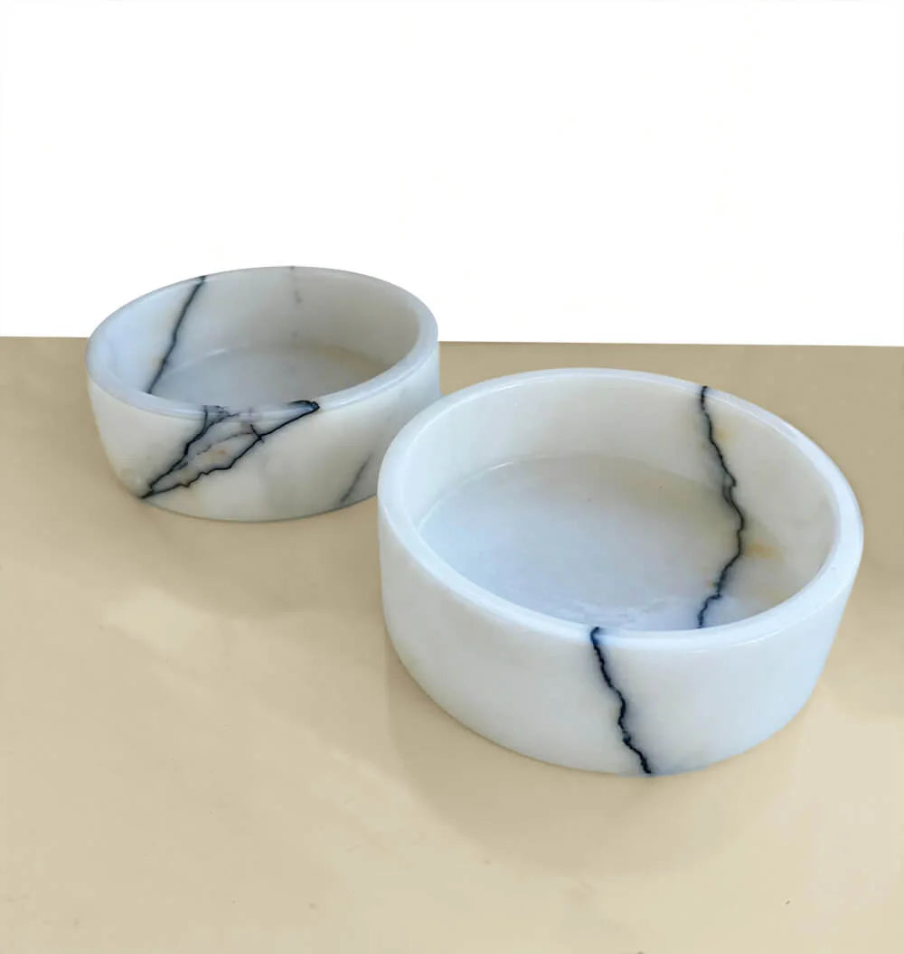 Pet Bowl