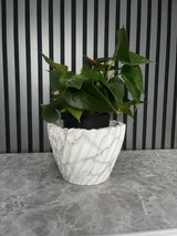 Artisan Fluted Planter