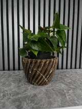 Artisan Fluted Planter