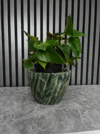 Jungle Green