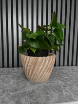 Artisan Fluted Planter