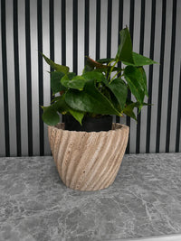 Travertine