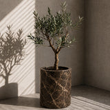 Aurora Stone Planter