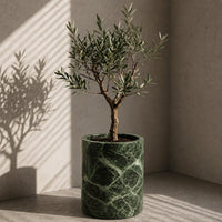 Jungle Green