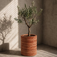 Red Travertine