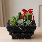 Elysian Marble Planter