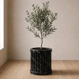 Crown Crest Planter