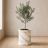 Crown Crest Planter