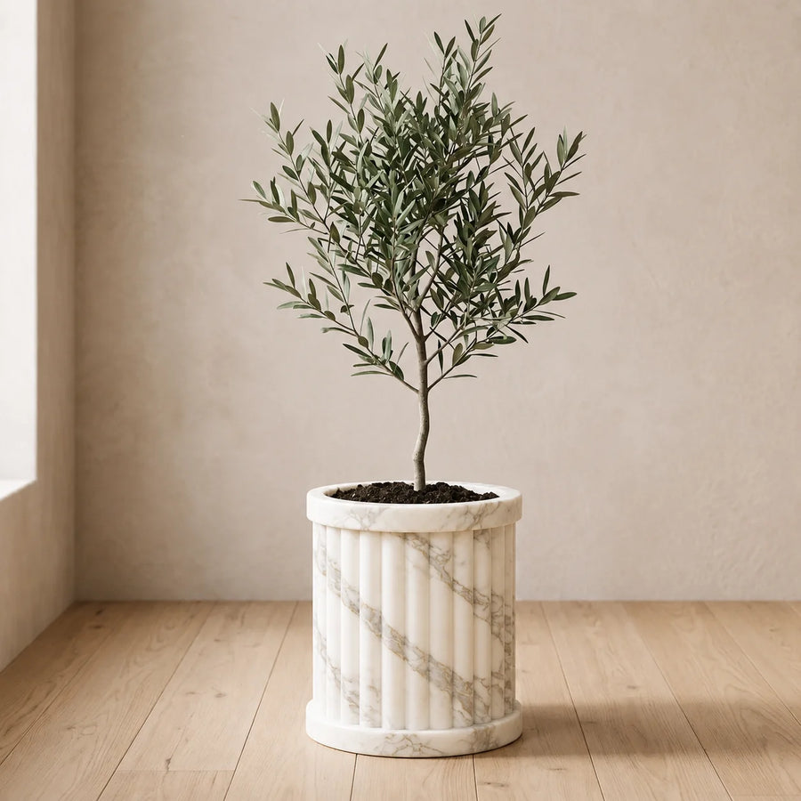 Crown Crest Planter