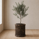 Crown Crest Planter