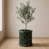 Crown Crest Planter