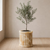 Crown Crest Planter