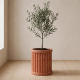 Crown Crest Planter