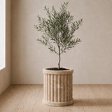 Crown Crest Planter