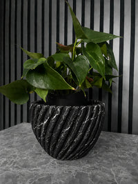 Black Marquina