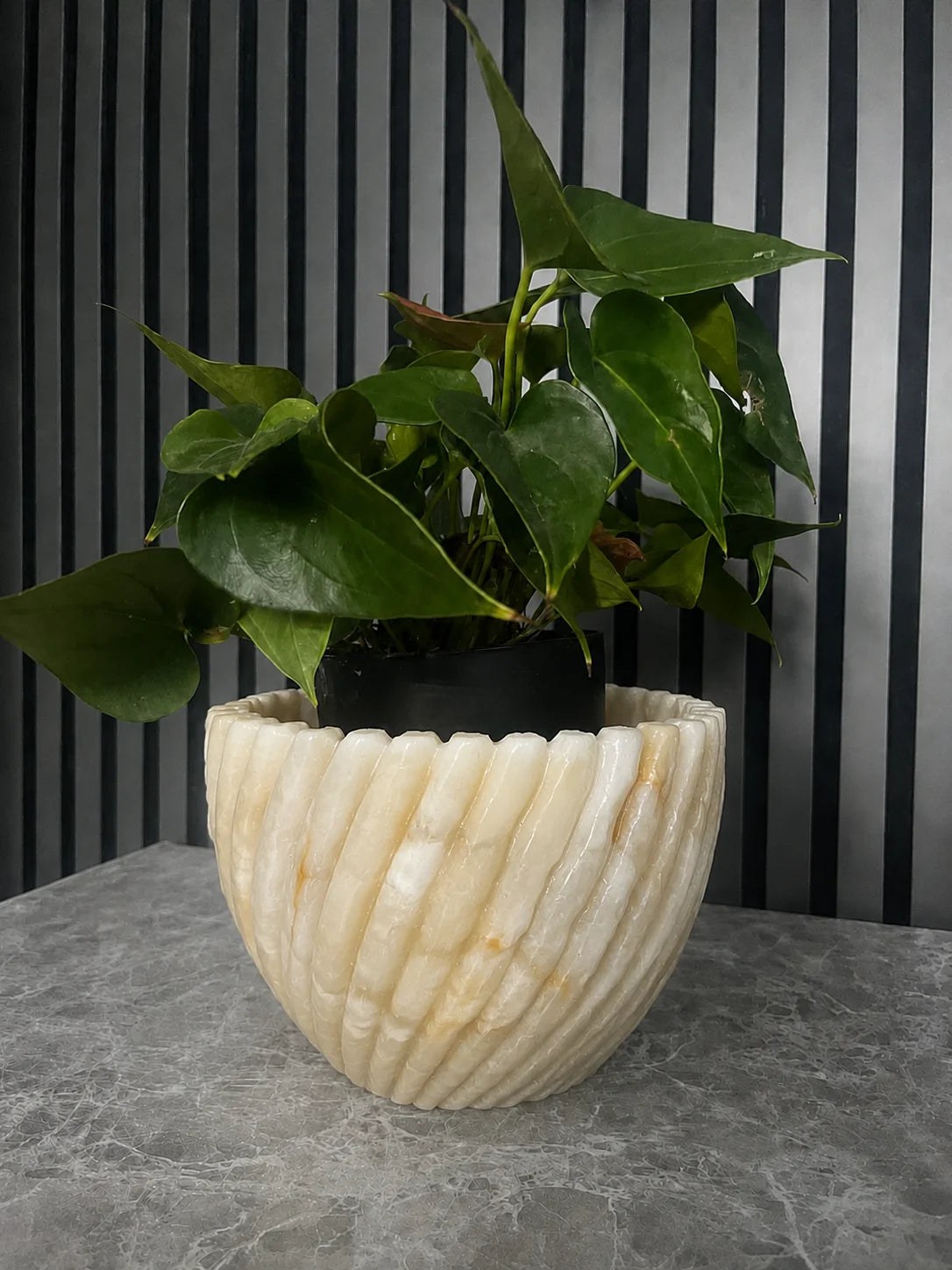 Halo Twist Planter