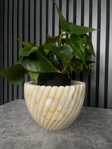 Halo Twist Planter
