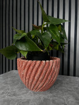 Halo Twist Planter