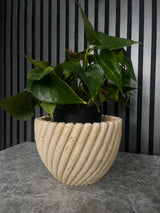 Halo Twist Planter