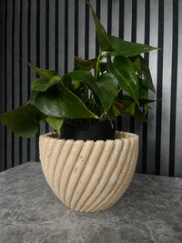 Travertine