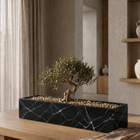 Black Marquina