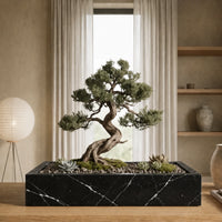 Black Marquina