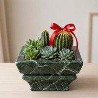 Jungle Green