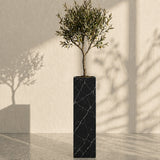 Majestic Vein Planter
