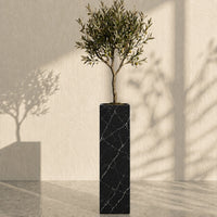 Black Marquina