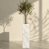 Majestic Vein Planter