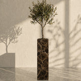 Majestic Vein Planter