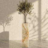 Majestic Vein Planter