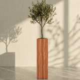 Majestic Vein Planter