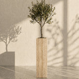 Majestic Vein Planter