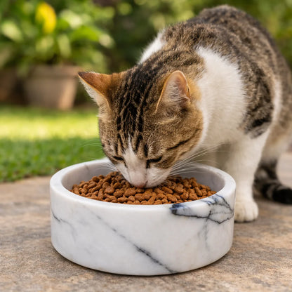 Marble Pet Feeding Bowl