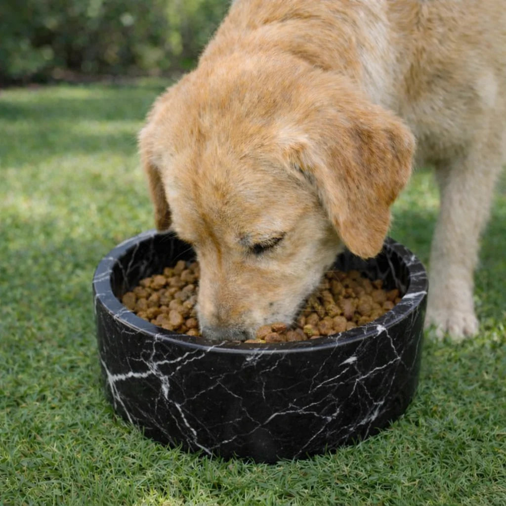 Marble Pet Feeding Bowl