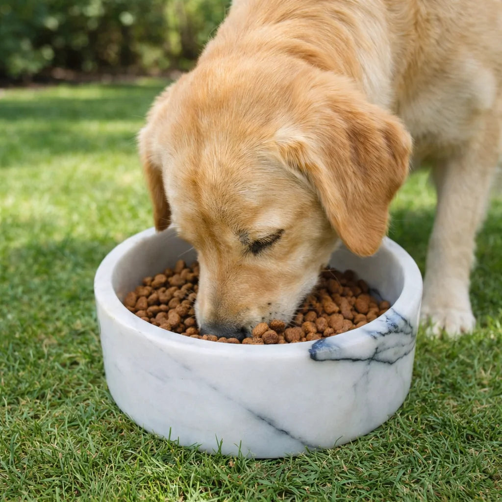Marble Pet Feeding Bowl