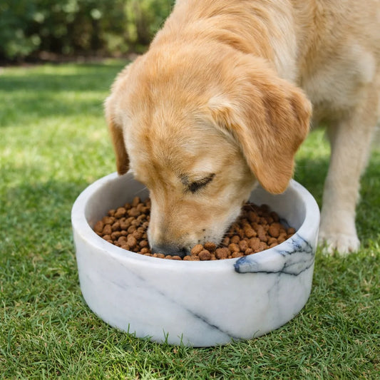 Marble Pet Feeding Bowl
