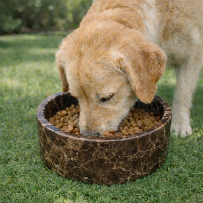 Marble Pet Feeding Bowl