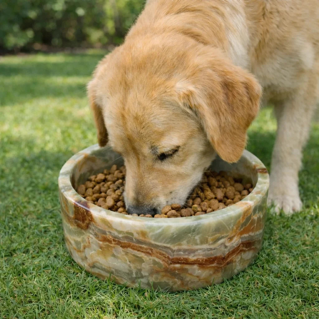 Marble Pet Feeding Bowl