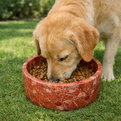 Marble Pet Feeding Bowl