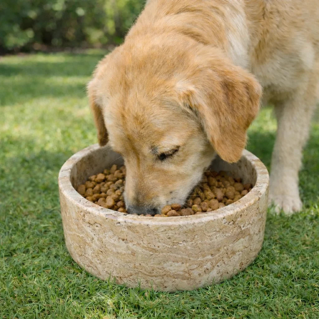 Marble Pet Feeding Bowl