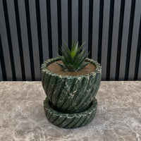 Jungle Green