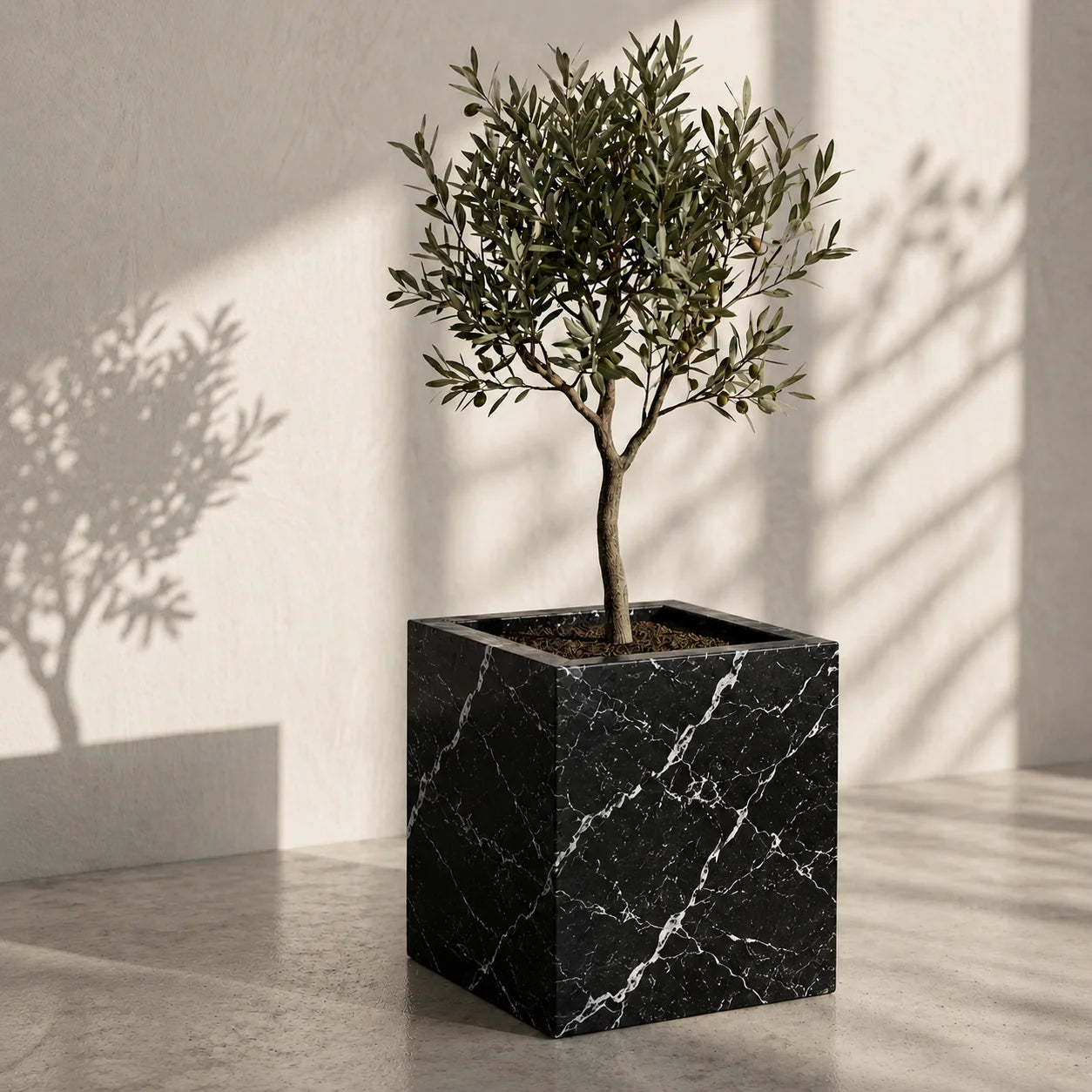 Olive Grove Planter