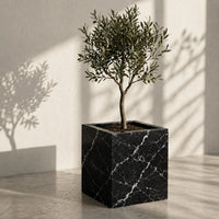 Black Marquina