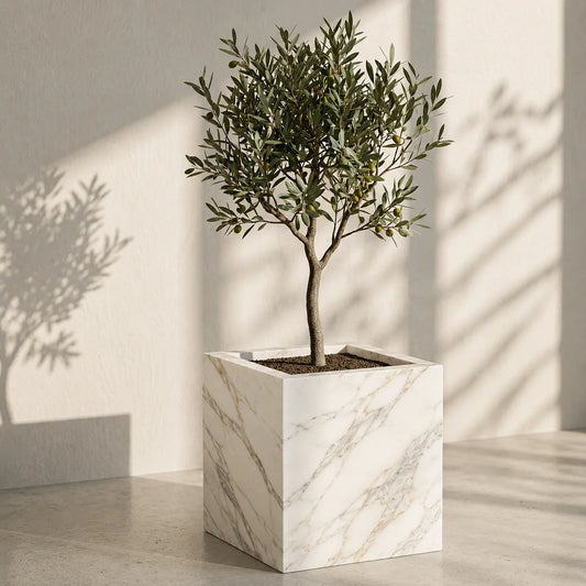 Olive Grove Planter