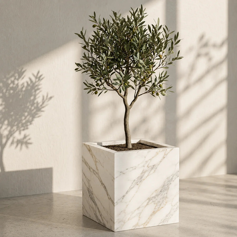Olive Grove Planter