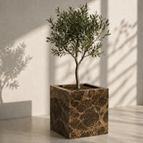 Olive Grove Planter