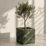 Olive Grove Planter