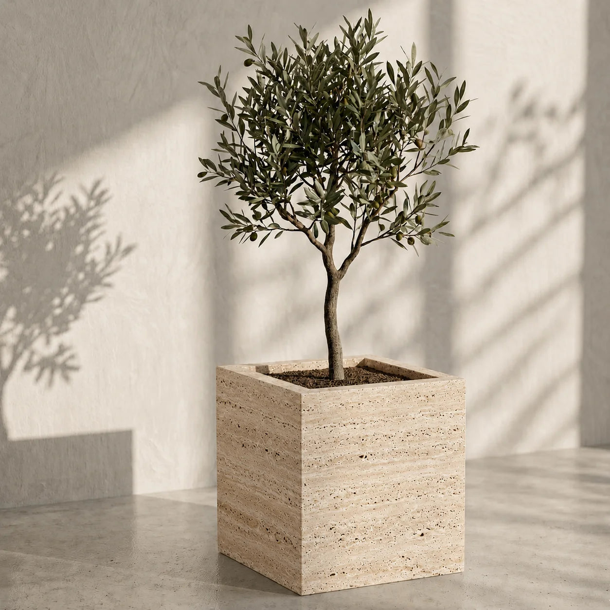 Olive Grove Planter